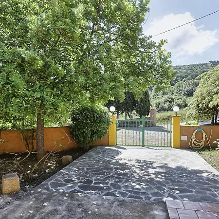 I Gelsi Trilo Nr 4 *
